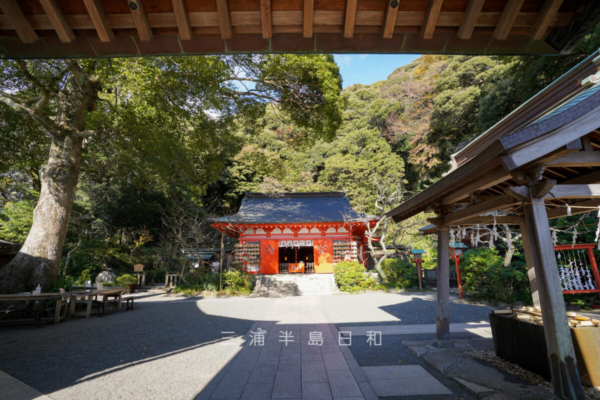 荏柄天神社・神社の門前から見た境内（撮影日：2023.12.01）