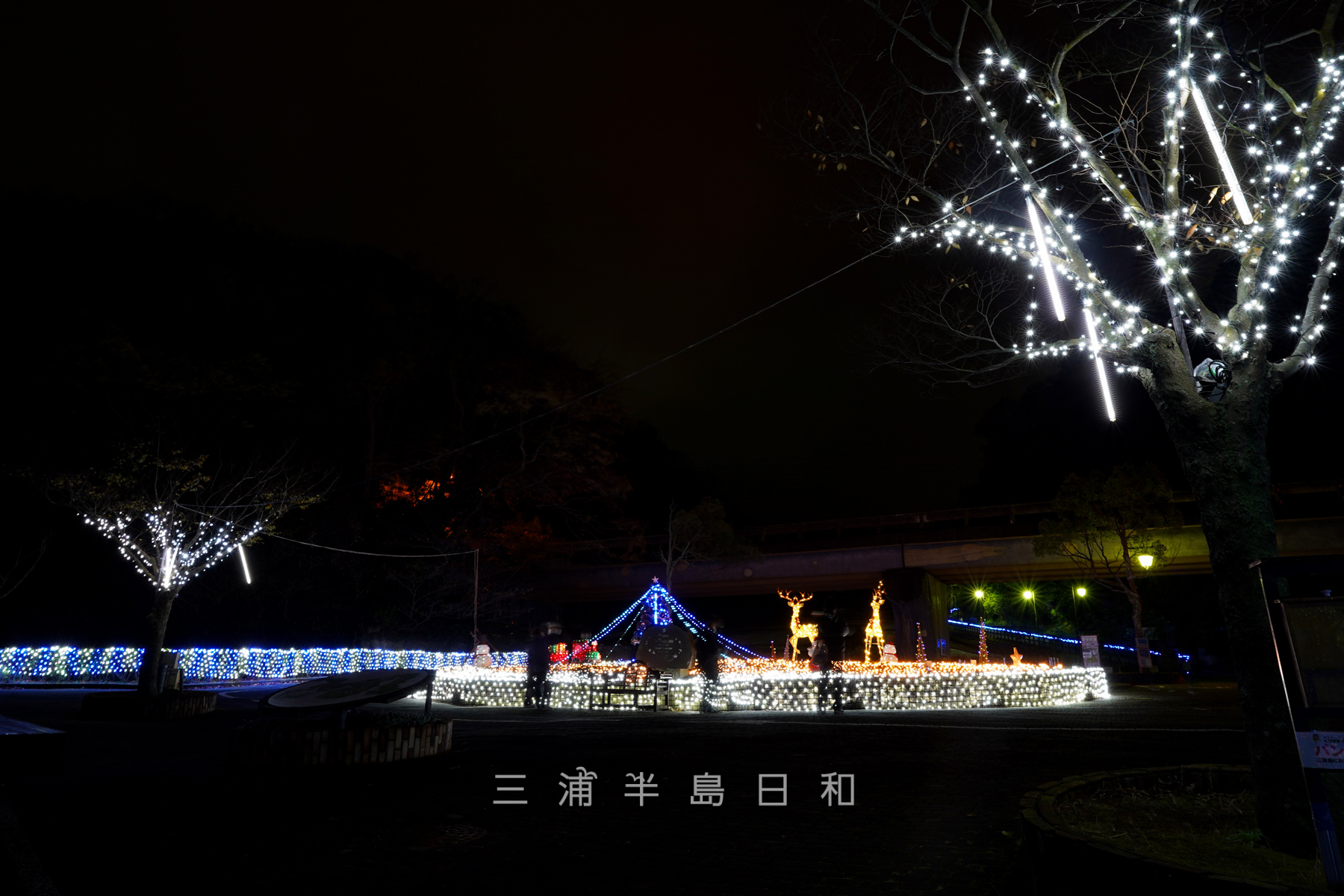 くりはま花の国ウインターイルミネーション2025 ※この冬はゴジラの