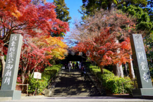 円覚寺の紅葉