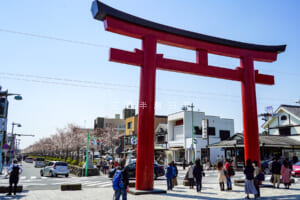 鶴岡八幡宮・三の鳥居と若宮大路の桜並木（撮影日：2021.03.26）