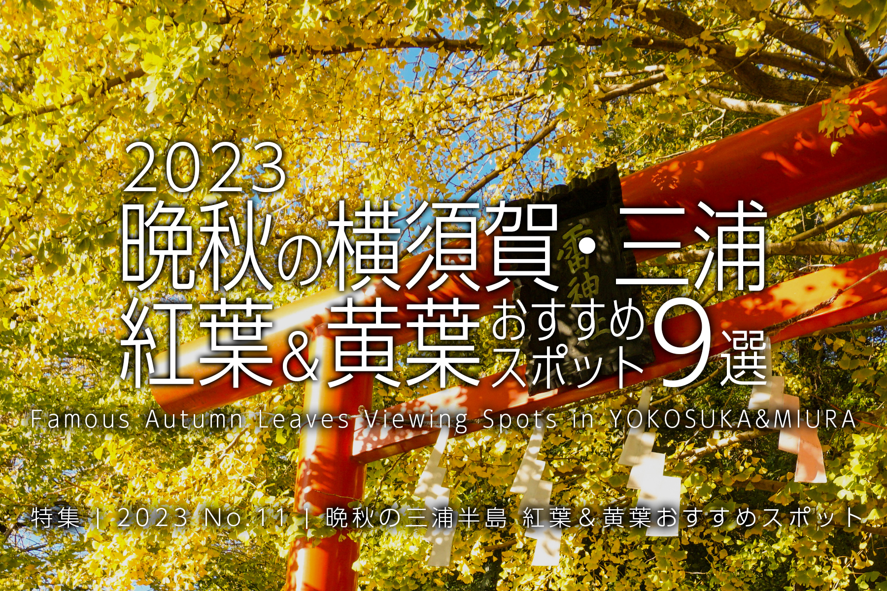 【2023 No.11】特集 | 晩秋の横須賀三浦・紅葉＆黄葉