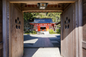 荏柄天神社・神社の門より拝殿を望む（撮影日：2023.12.01）