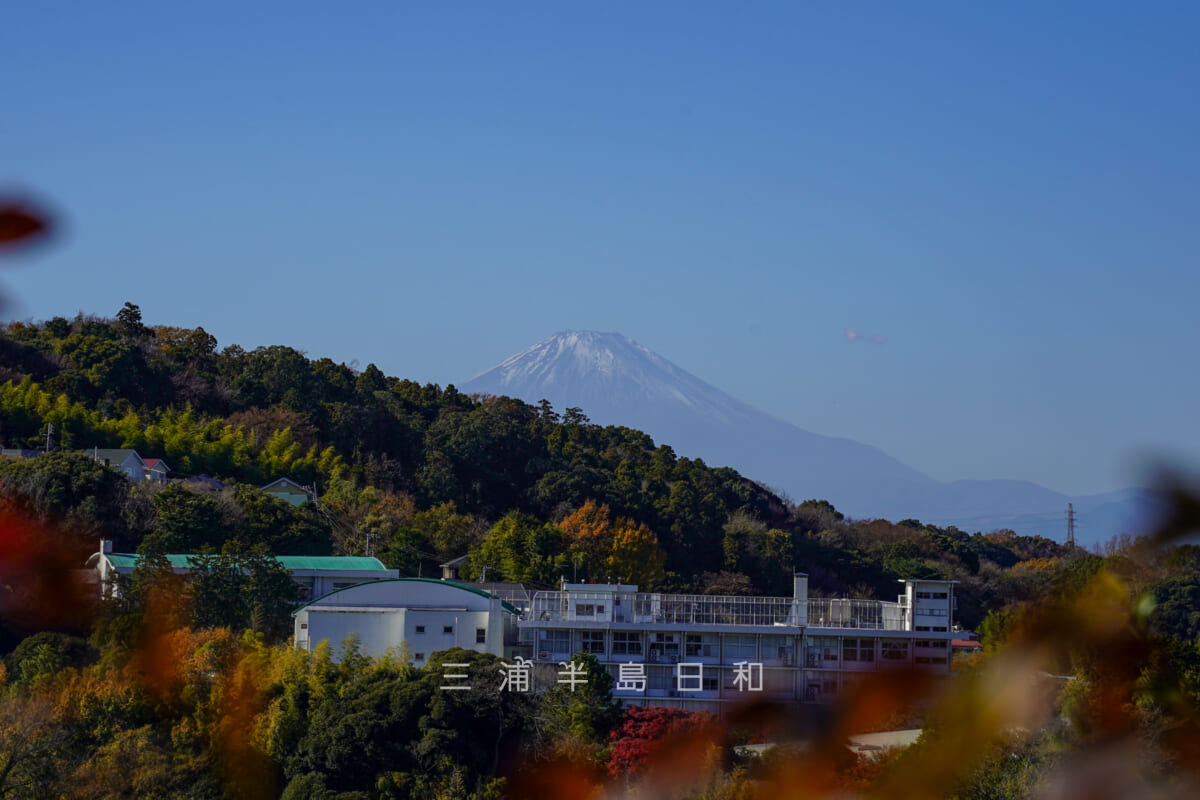 円覚寺・弁天堂前より富士山を望む（撮影日：2023.12.08）