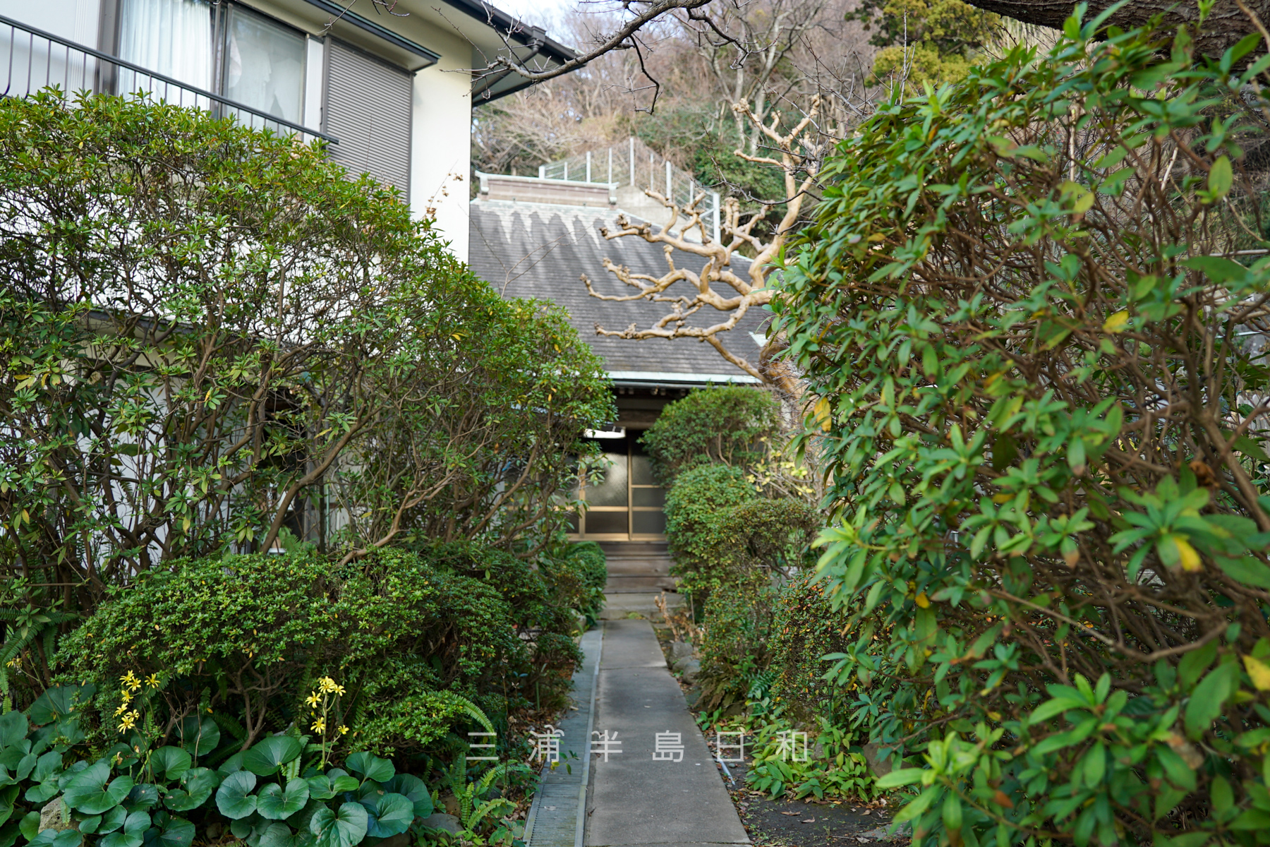 正覚寺（小坪）・境内（撮影日：2024.01.23）