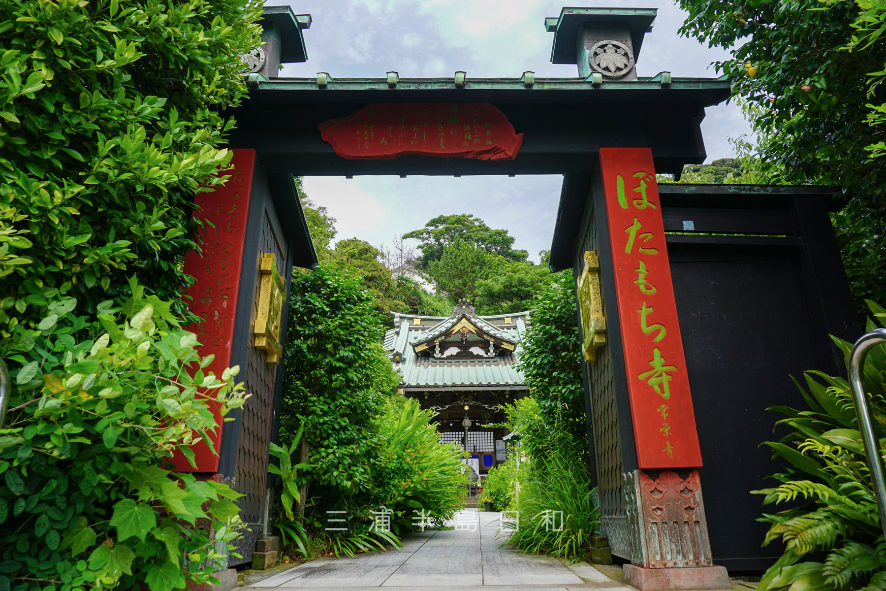 常栄寺（ぼたもち寺）（撮影日：2023.07.07）