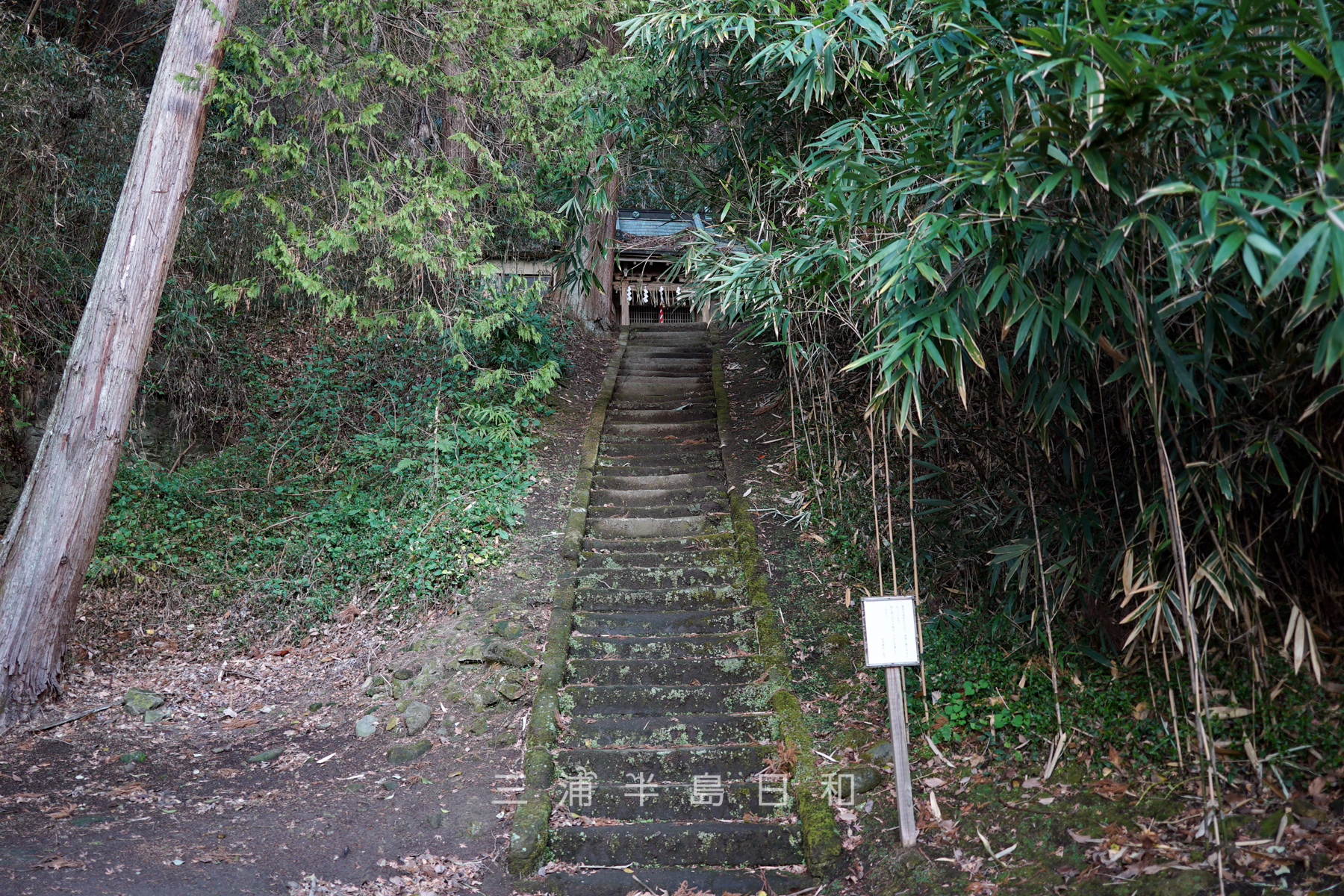 住吉神社（小坪）・社殿に続く石段（撮影日：2024.01.23）