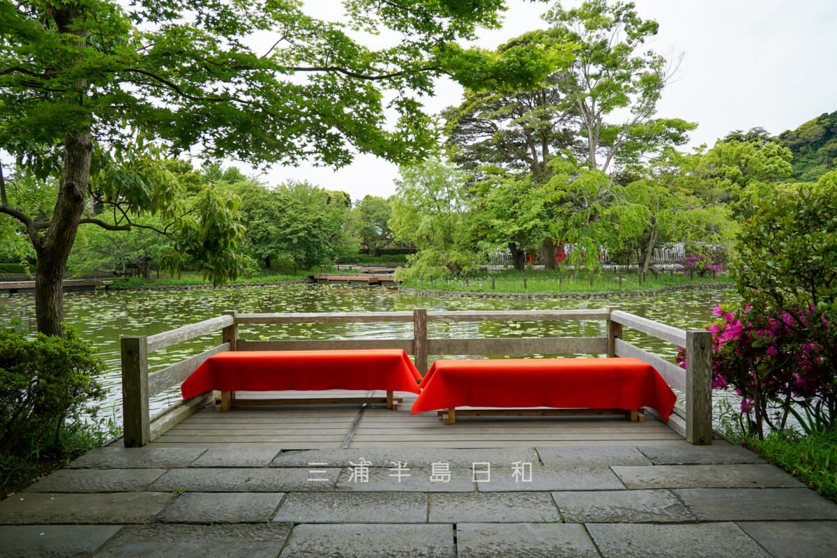 鶴岡八幡宮・池泉回遊式庭園-源氏池を望む（撮影日：2023.04.24）