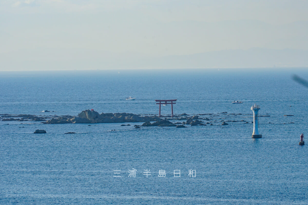 名島と葉山灯台（裕次郎灯台）・県立はやま三ヶ岡山緑地真名瀬コース途中から望む（撮影日：2020.11.13）
