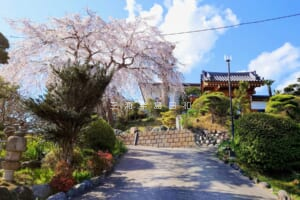 称名寺（野比）