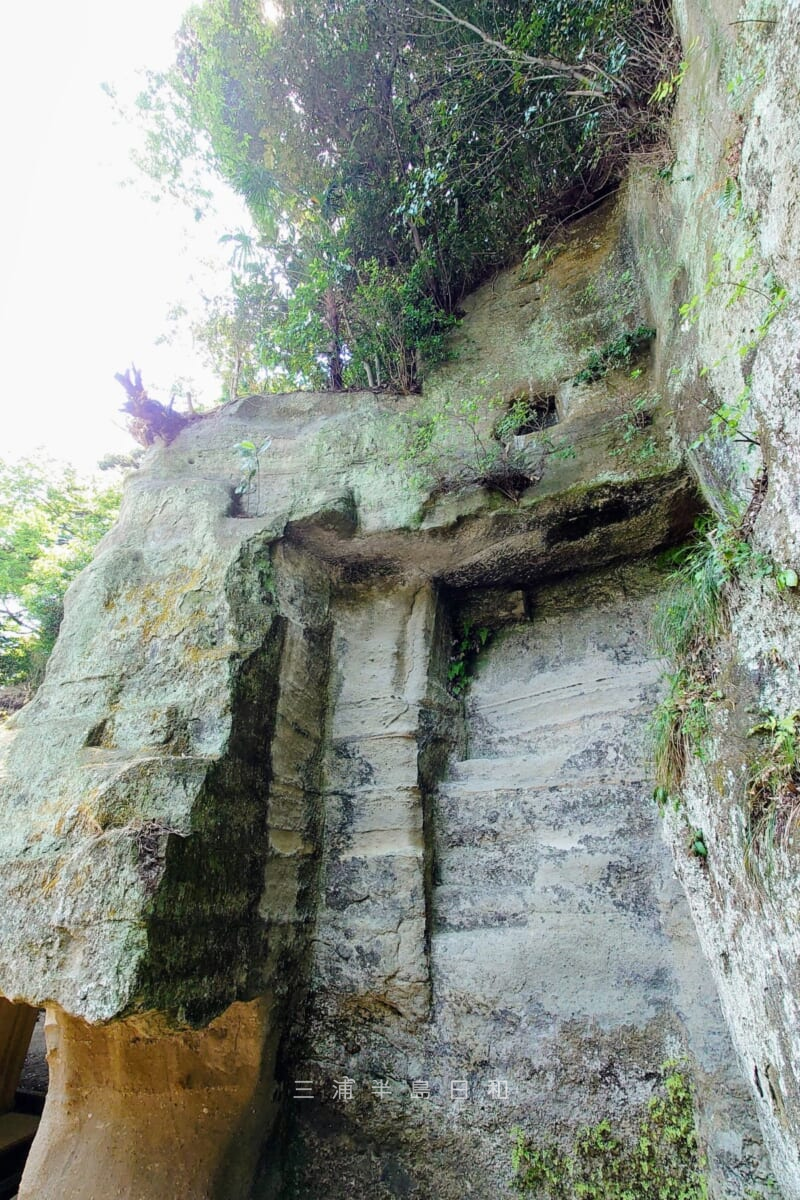浄光明寺・鎌倉石の採石跡と見られる崖（撮影日：2023.05.11）
