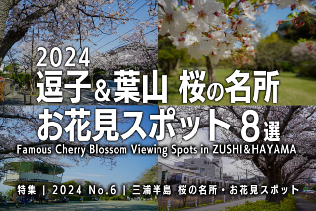 【2024 No.6】特集 | 逗子＆葉山桜の名所
