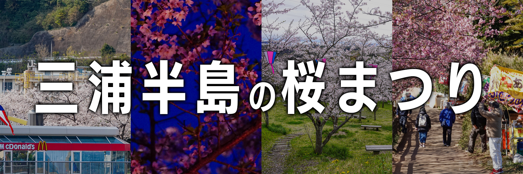 【三浦半島】横須賀・三浦・葉山・逗子・鎌倉の桜まつり