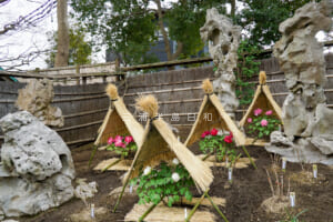 鶴岡八幡宮 神苑ぼたん庭園・池泉回遊式庭園
