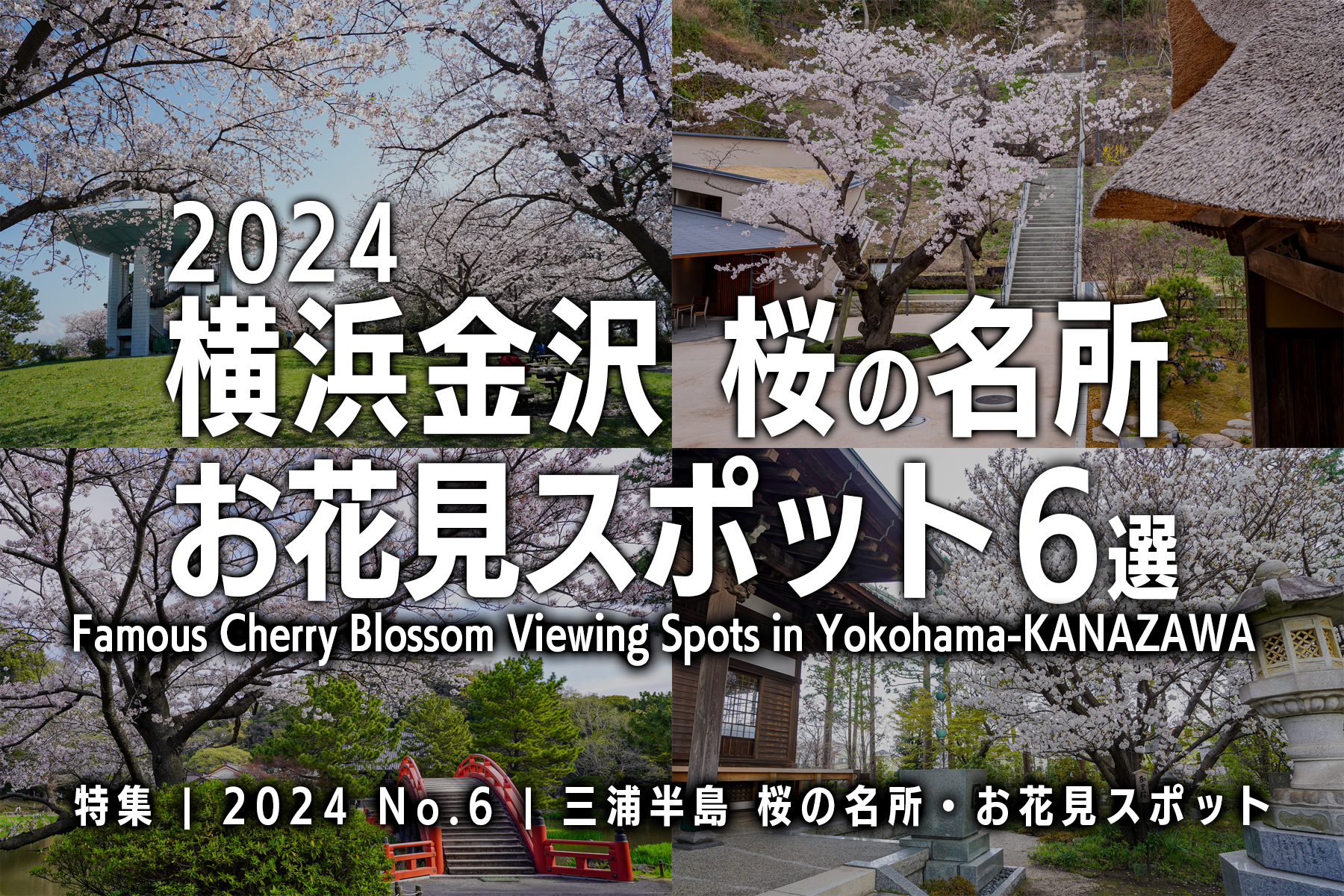 【2024 No.6】特集 | 横浜金沢桜の名所