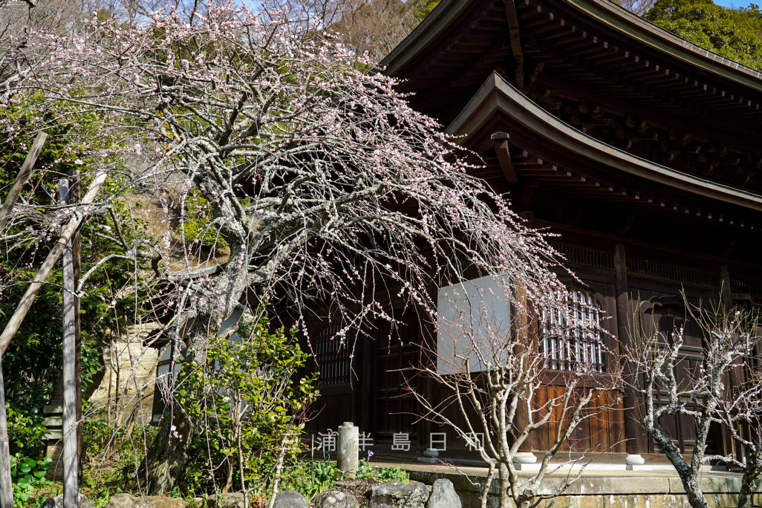 瑞泉寺 | 鎌倉に残る鎌倉時代唯一の庭園と紅葉や花の名所として知られる禅寺