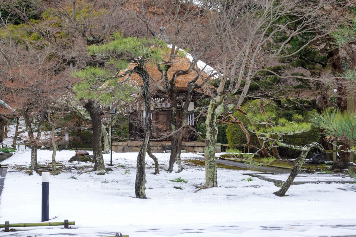 長寿寺・降雪翌日の本堂前の庭園と観音堂（撮影日：2024.02.06）