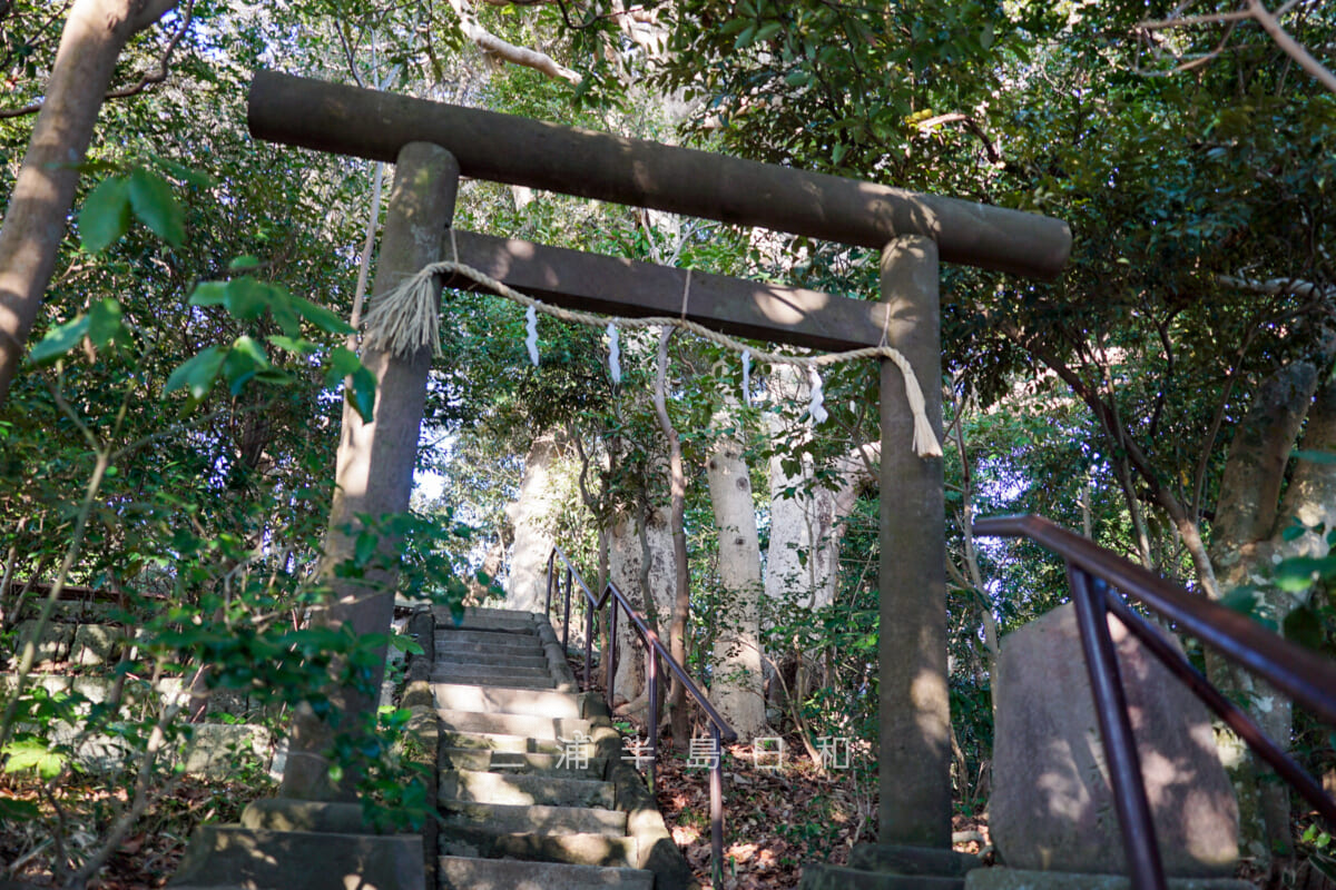 鎌倉山神社・鳥居（撮影日：2024.03.04）