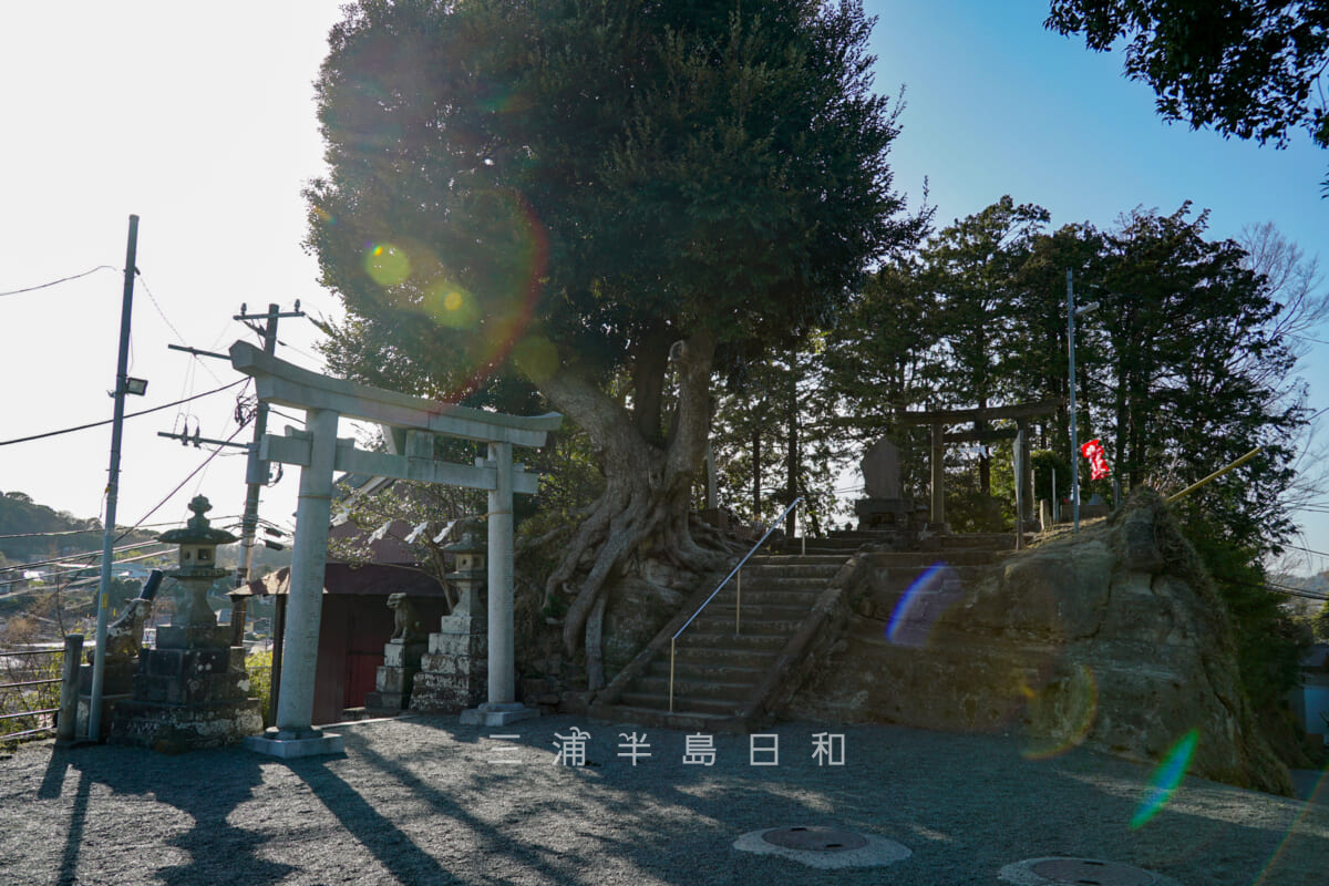 八雲神社（山ノ内）・社殿前より境内を望む（撮影日：2024.03.18）