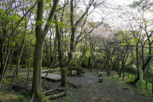 台山緑地（みんなの山）