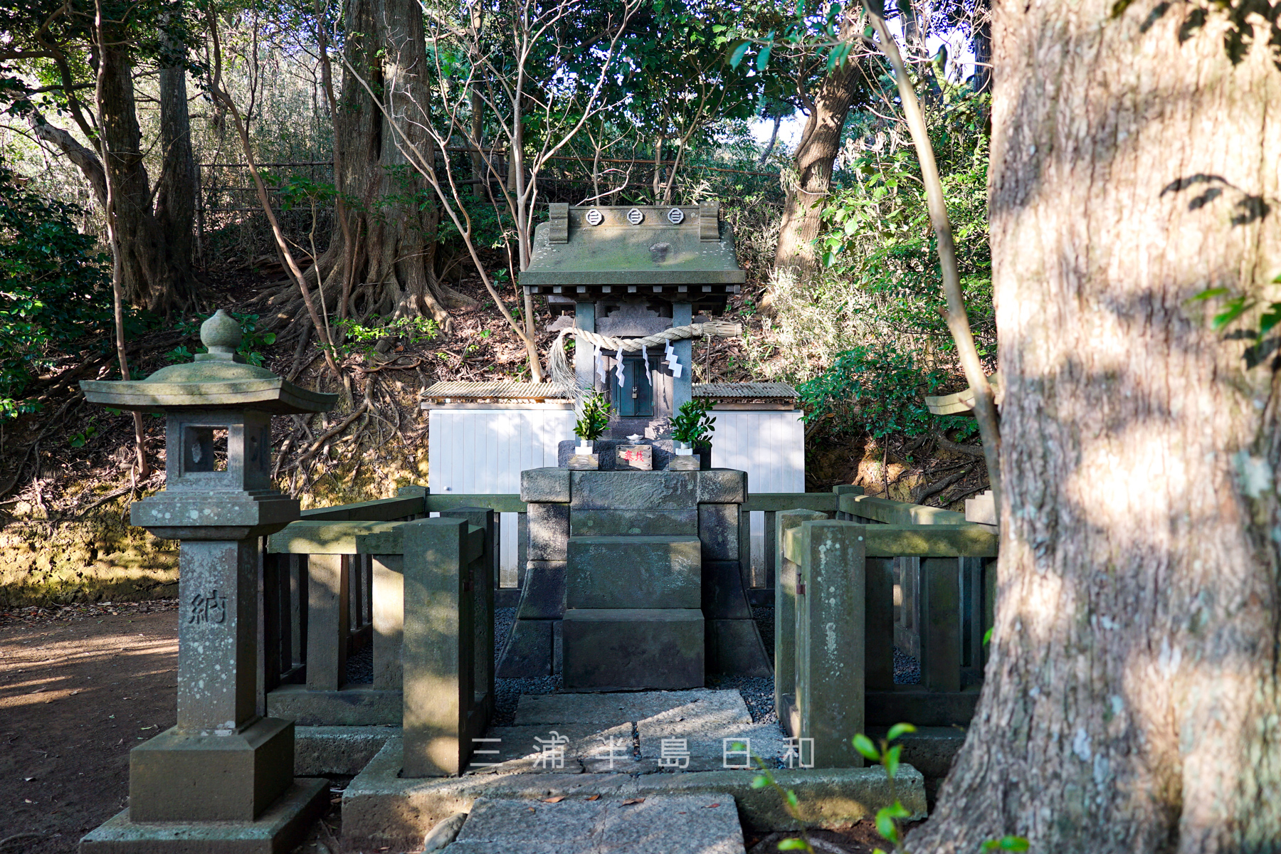 鎌倉山神社（撮影日：2024.03.04）