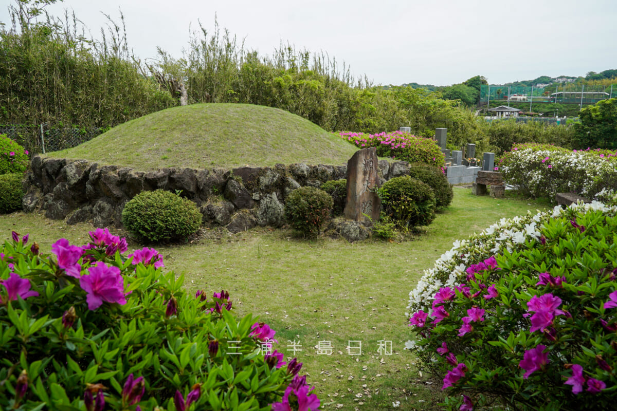 源太塚とツツジ（撮影日：2024.04.26）