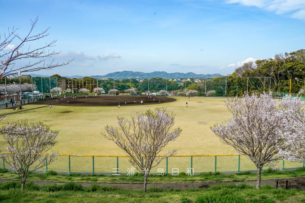 潮風スポーツ公園（三浦スポーツ公園）・野球場（撮影日：2024.04.07）