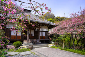 光則寺