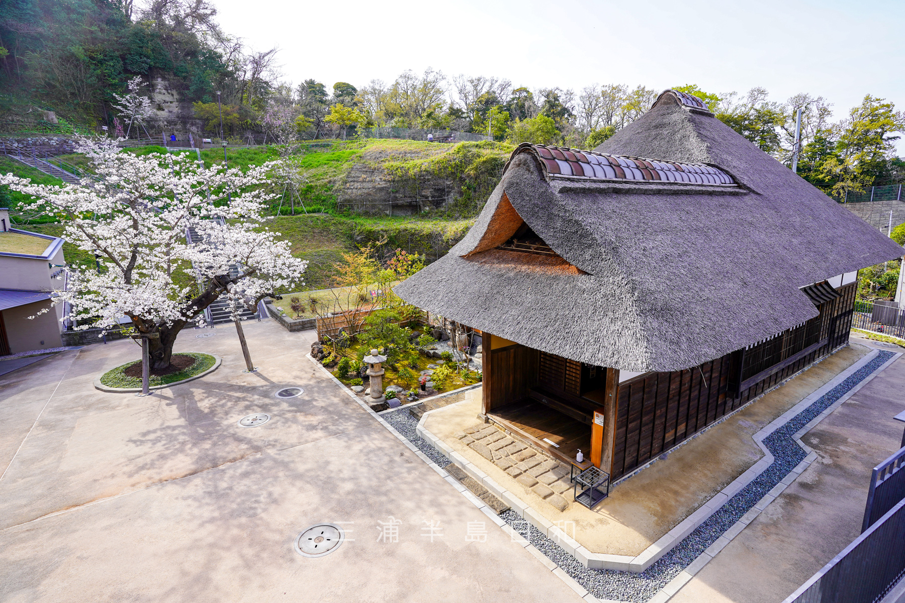 金沢八景権現山公園（旧円通寺客殿）（撮影日：2024.04.02）