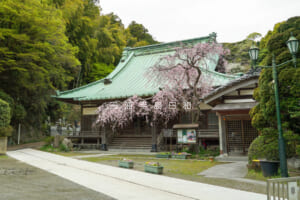 法勝寺