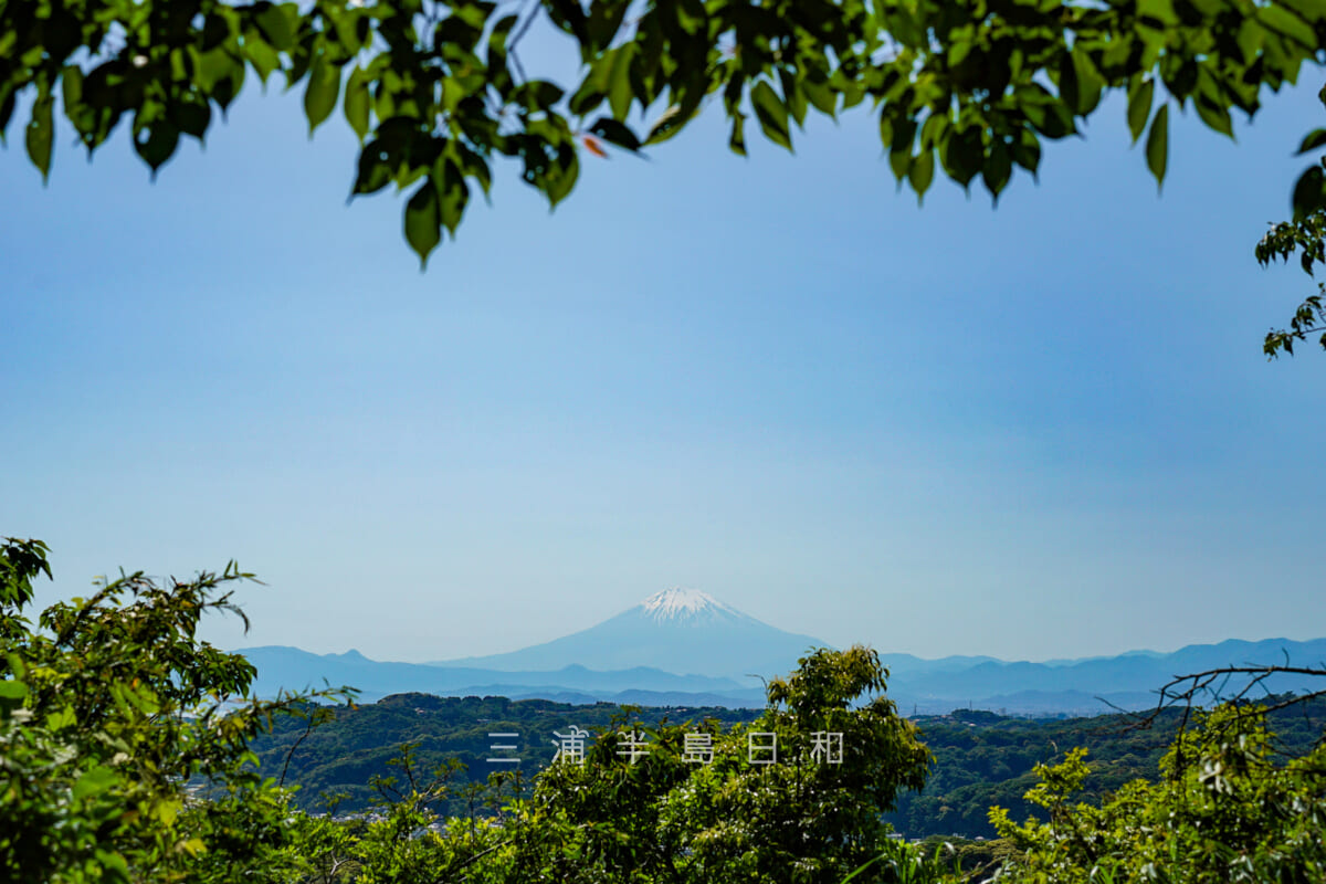 衣張山・山頂（北峰）より富士山を望む（撮影日：2024.05.10）