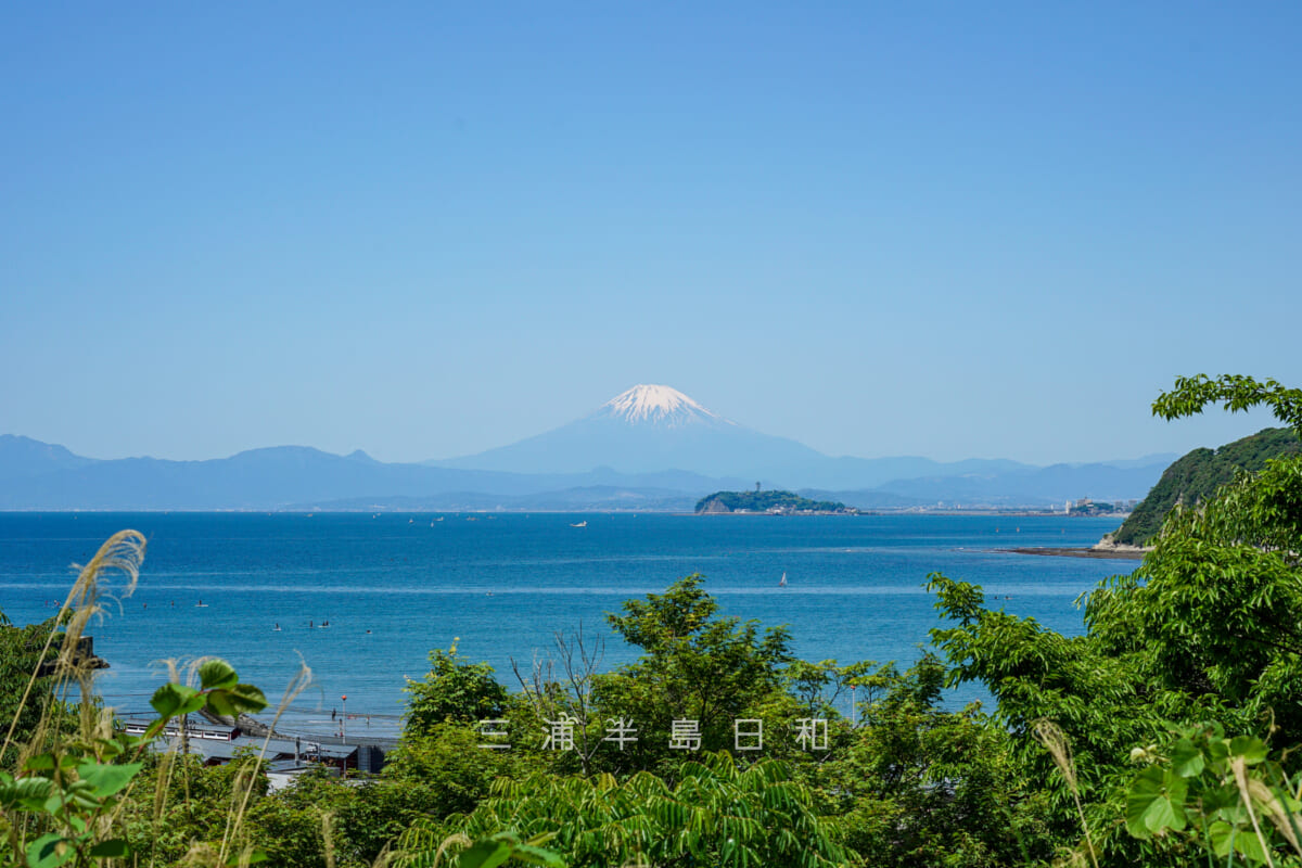 蘆花記念公園・旧郷土資料館前より富士山や江の島を望む（撮影日：2024.05.10）