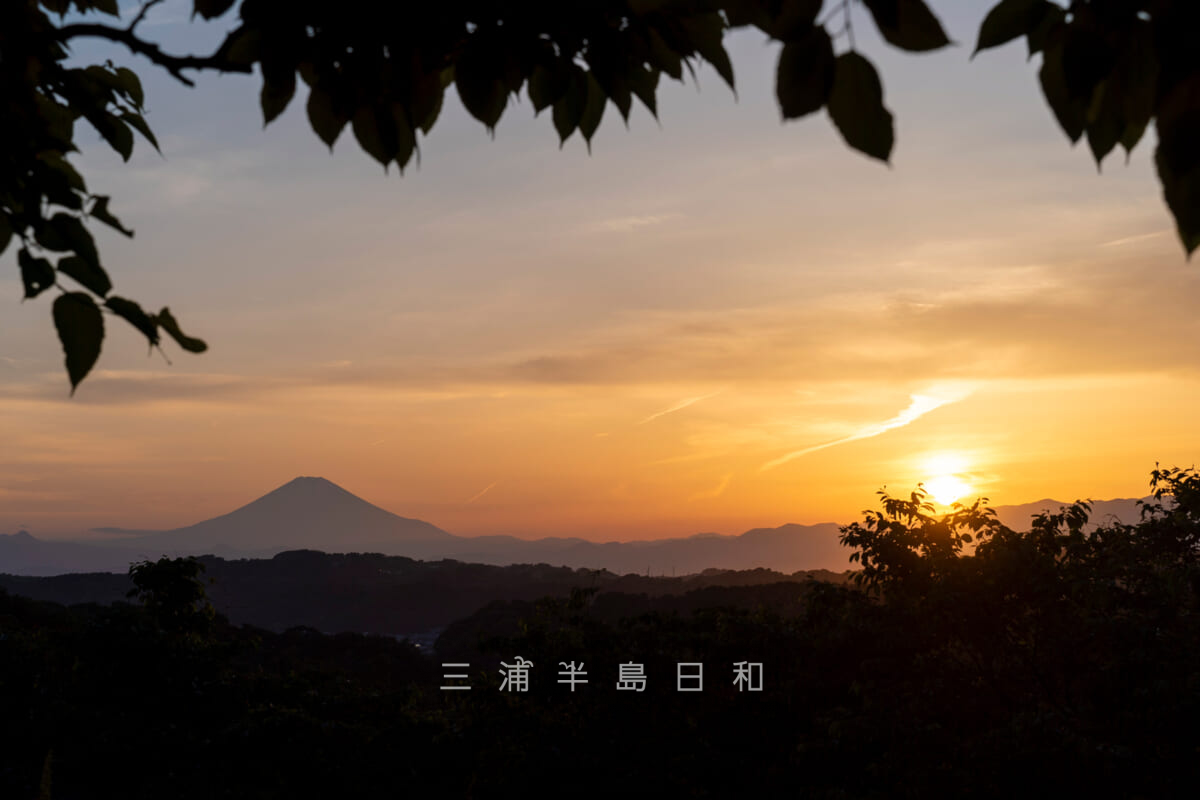 浄明寺緑地・「関東の富士見百景」選定地から見る富士山と夕日（撮影日：2024.05.10）