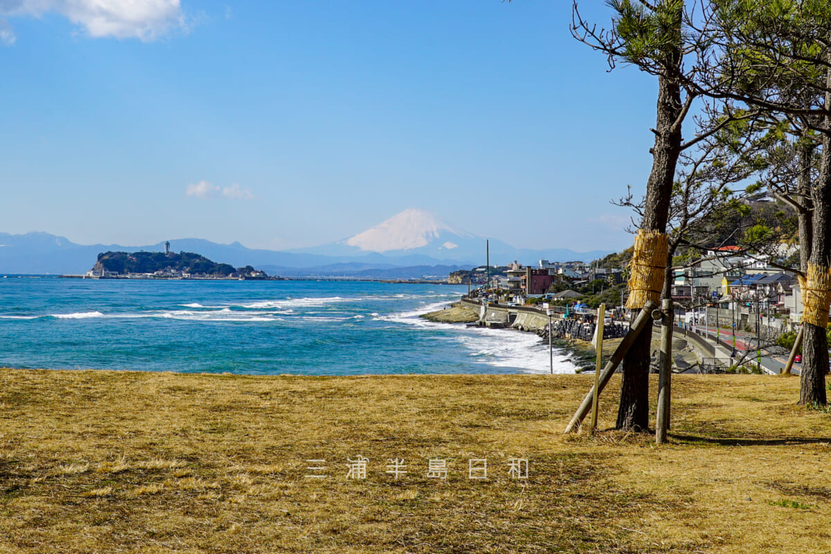 稲村ヶ崎・稲村ケ崎公園の芝生広場より富士山と江の島を望む（撮影日：2021.01.29）