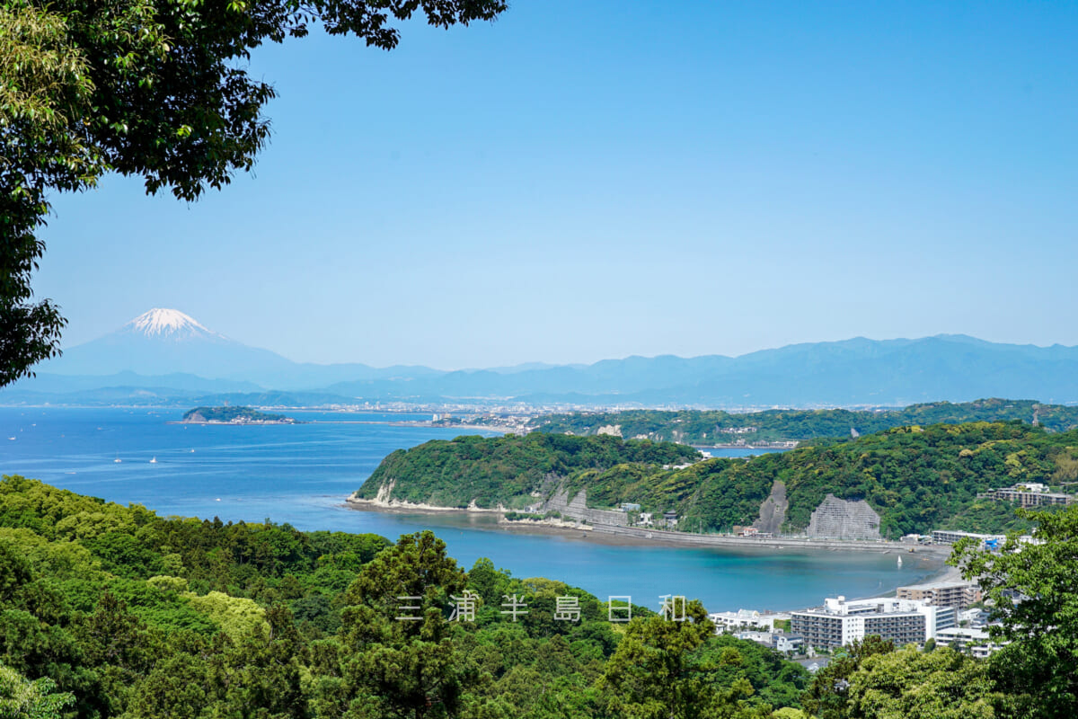 長柄桜山古墳群-第1号墳より逗子湾、江の島、富士山を望む（撮影日：2024.05.10）