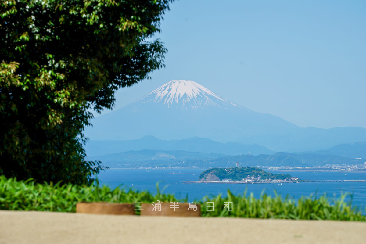 長柄桜山古墳群-第1号墳・後円部頂上より江の島と富士山を望む（撮影日：2024.05.10）