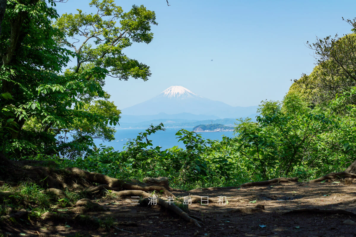 長柄桜山古墳群-第2号墳・前方部より富士山を望む（撮影日：2024.05.10）