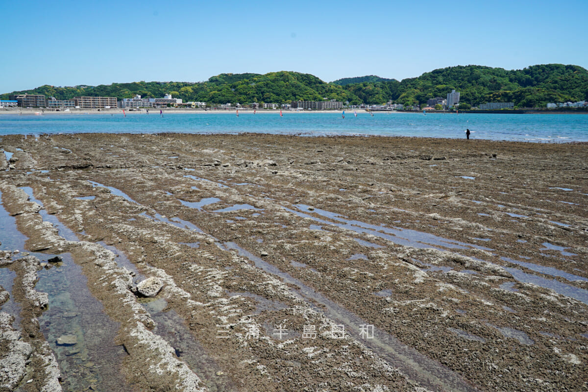 葛ヶ浜海岸・干潮時に逗子海岸方面を望む（撮影日：2024.05.10）