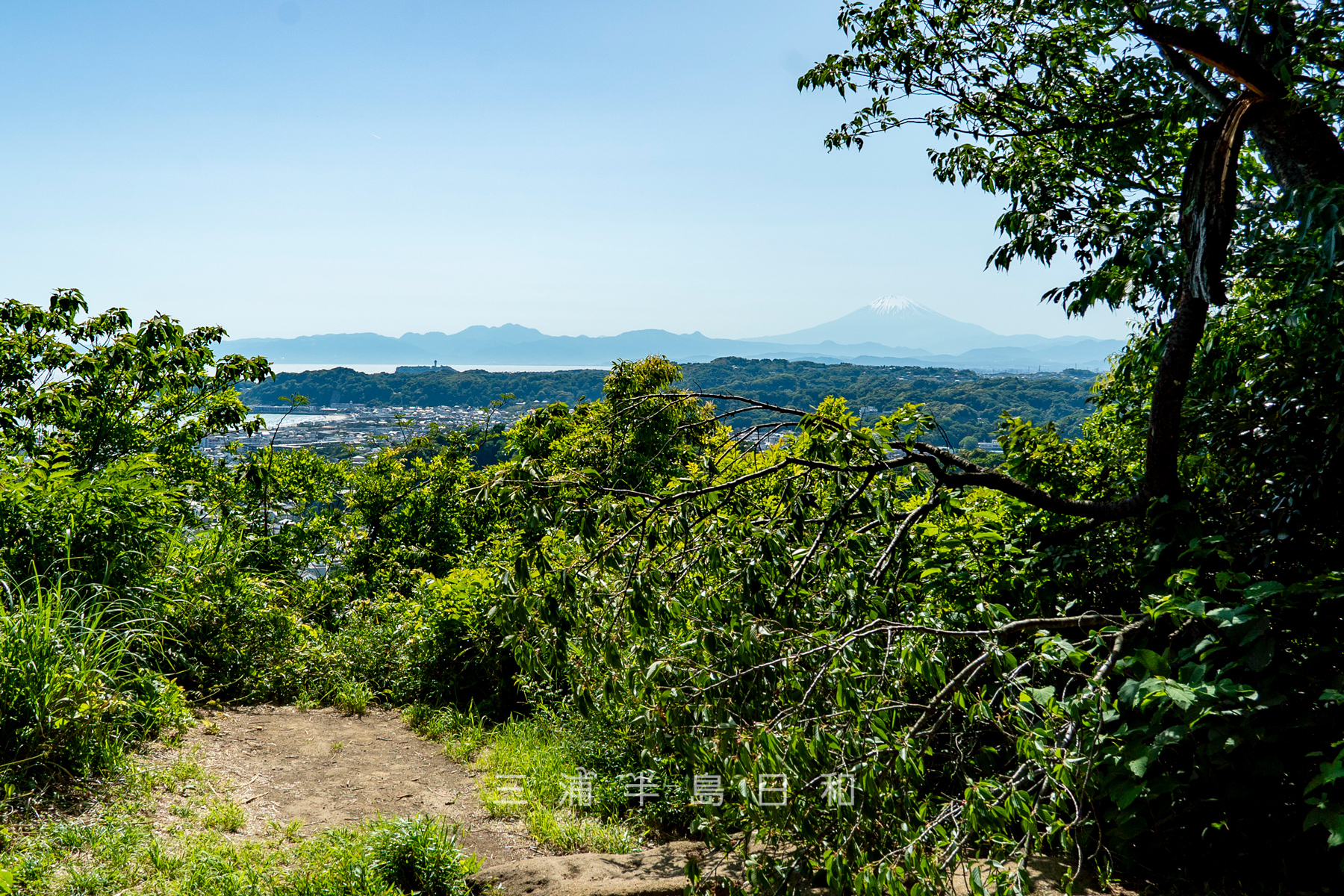 衣張山・山頂（北峰）より鎌倉市街と富士山方面を望む（撮影日：2024.05.10）
