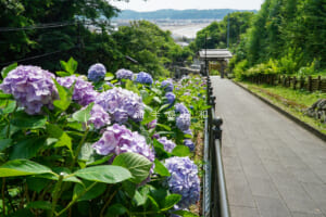 成就院