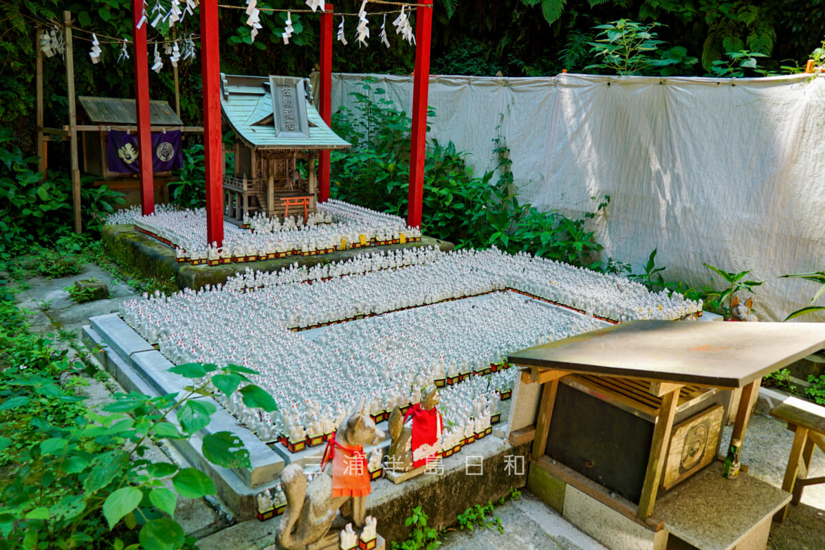 佐助稲荷神社・本殿（2019年の台風で倒壊後に再建された社）（撮影日：2024.06.14）