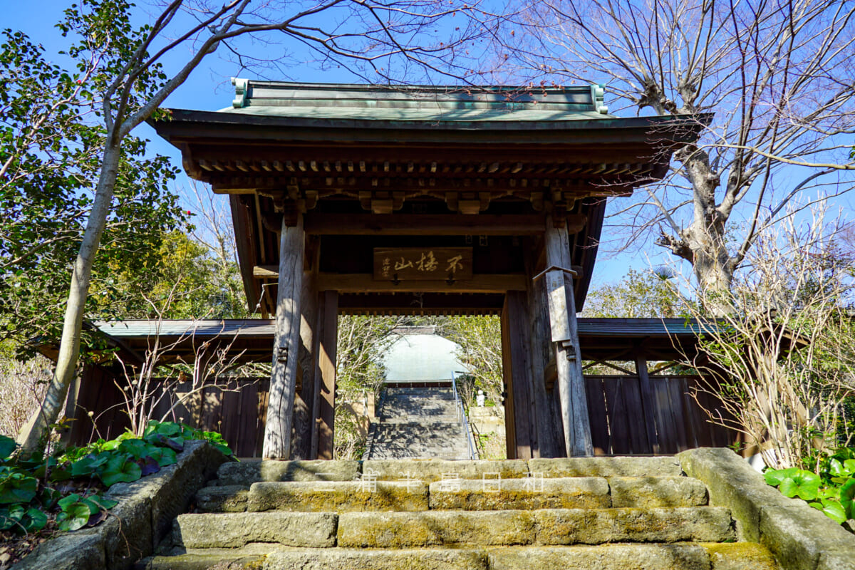 新善光寺・四脚門（撮影日：2021.02.03）