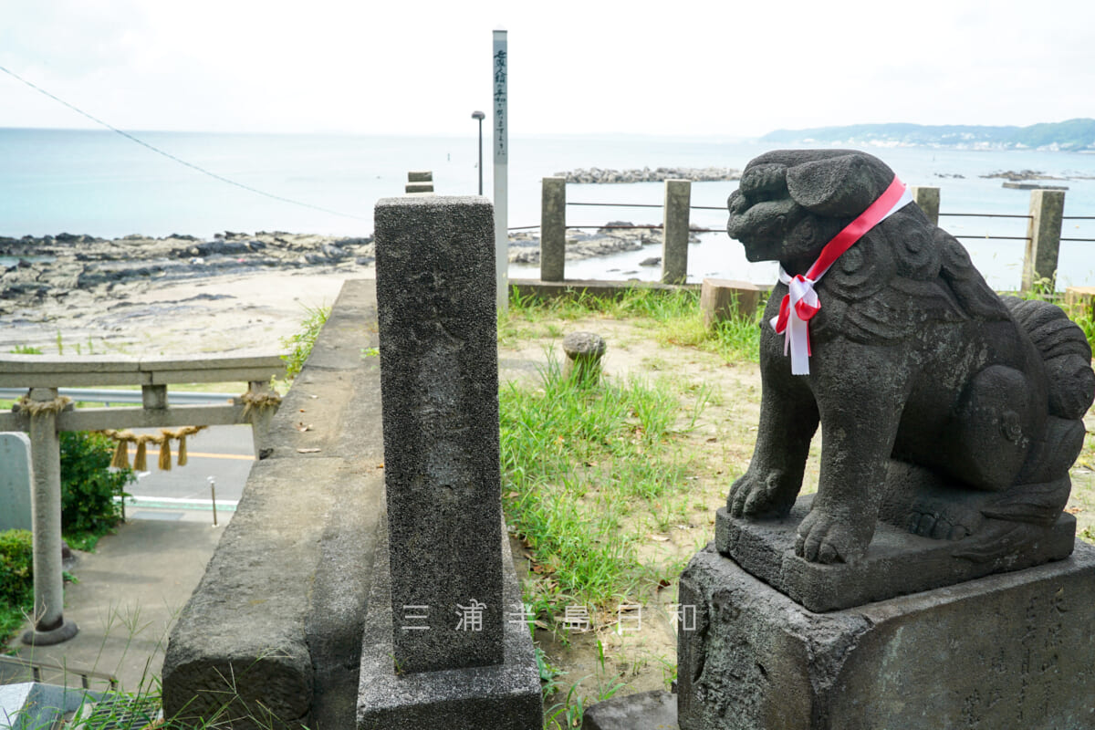 長井熊野神社・海を眺める狛犬（撮影日：2024.08.22）