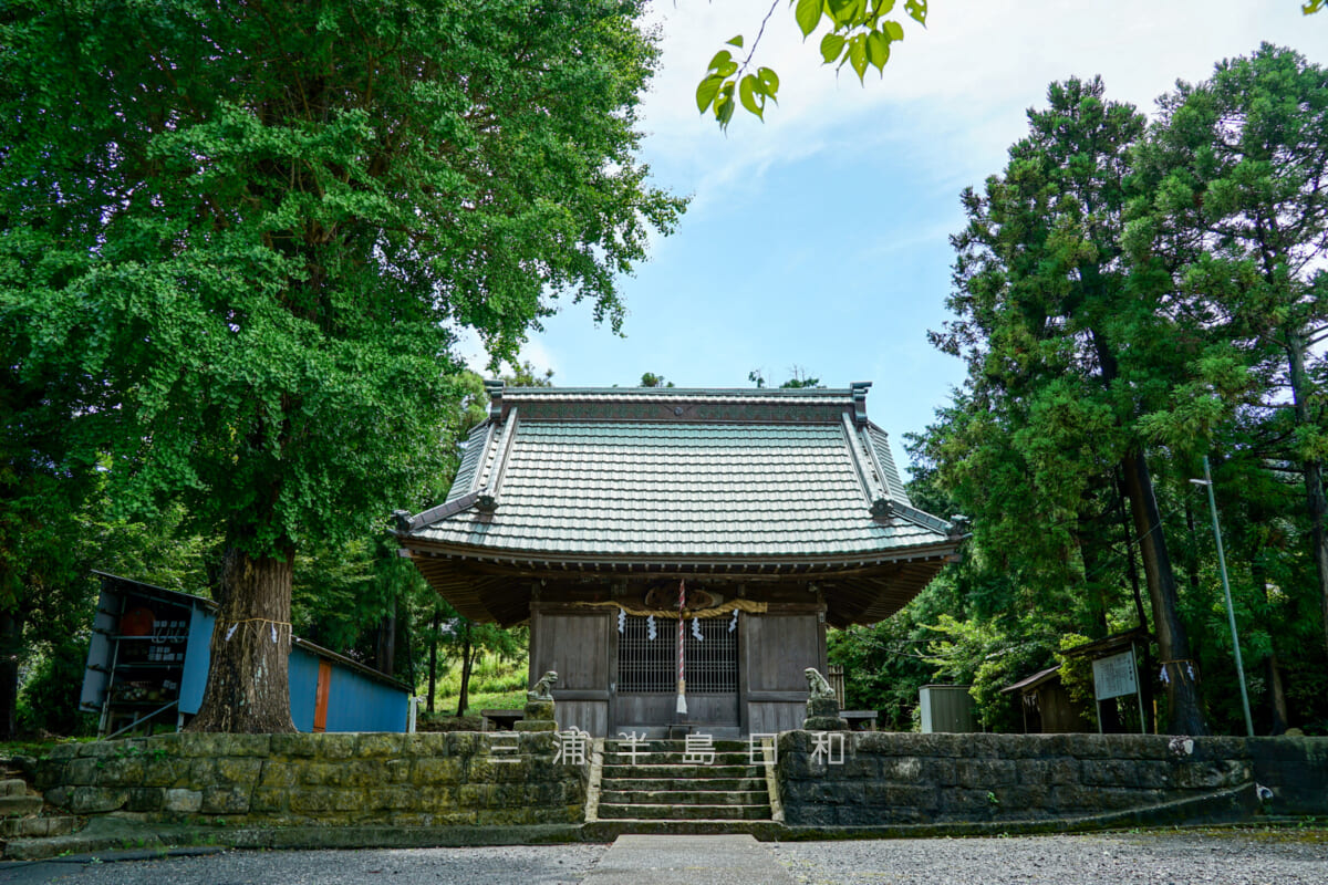 杉山神社・社殿（撮影日：2020.09.03）