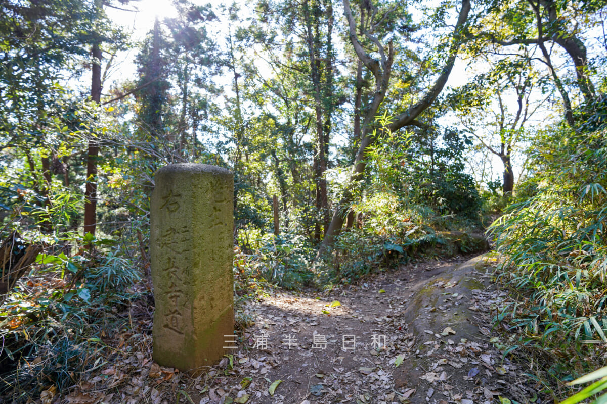 天園ハイキングコース・「建長寺道」「覚園寺道」道標、朱垂木やぐら群分岐（撮影日：2020.12.08）