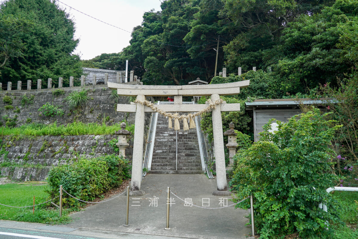 長井熊野神社・社殿正面側の鳥居（撮影日：2024.08.22）