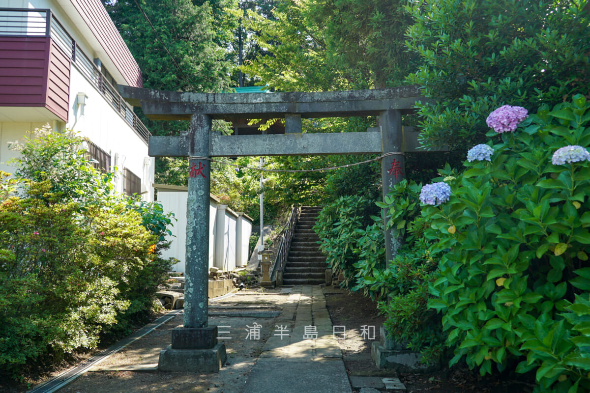 大船熊野神社・二の鳥居（撮影日：2024.06.14）