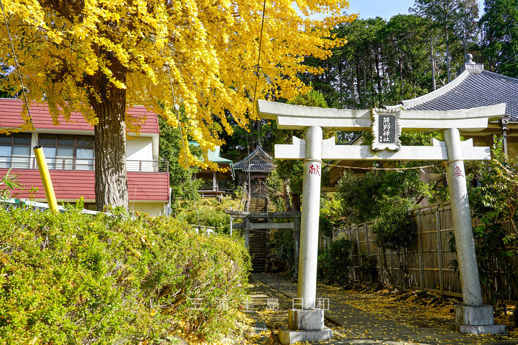 大船熊野神社・晩秋の境内（撮影日：2021.12.10）