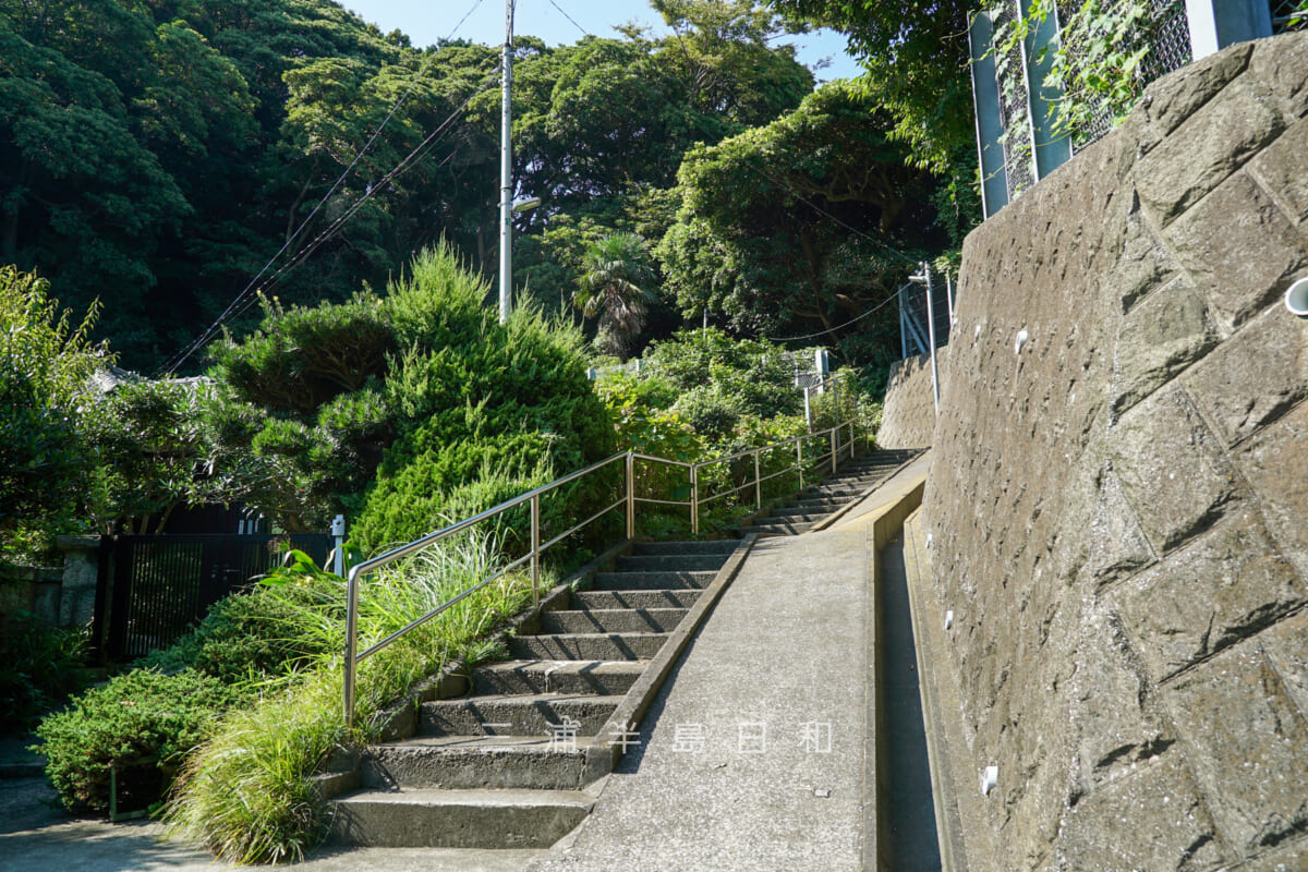 小坪坂（小坪峠）・小坪側（姥ヶ谷）の頂上付近を見上げる（撮影日：2024.09.06）