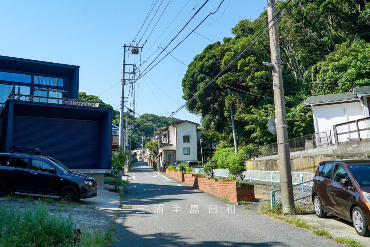 小坪坂（小坪峠）・小坪側（姥ヶ谷）の新道（正面奥）と旧道（右奥）の合流地点（撮影日：2024.09.06）