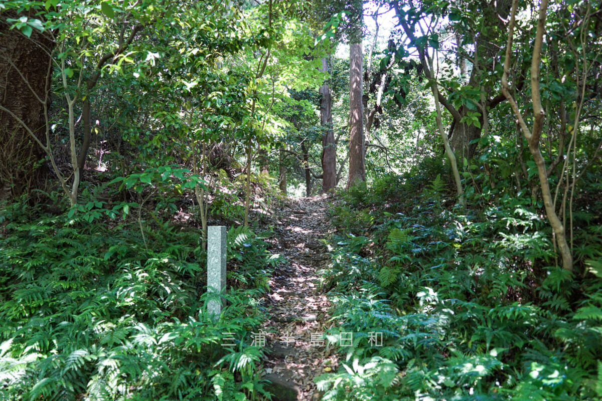 こんぴら山やぐら群・神武寺参道からの山門寄りの入口（撮影日：2021.05.25）